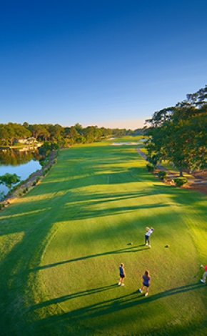 People teeing off at Palmetto Dunes