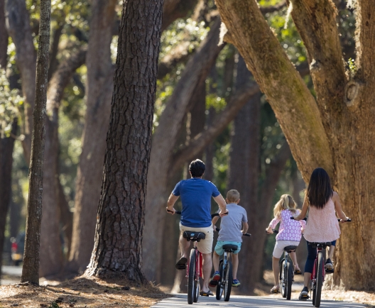 a family biking through trees