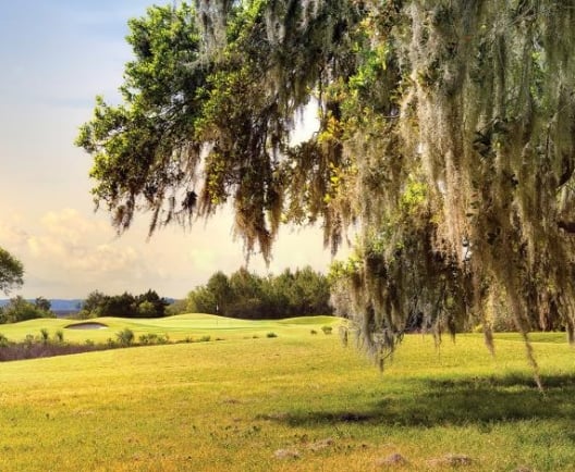 Landscape of golf green