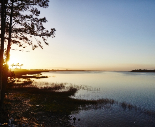 sunrise over a marsh