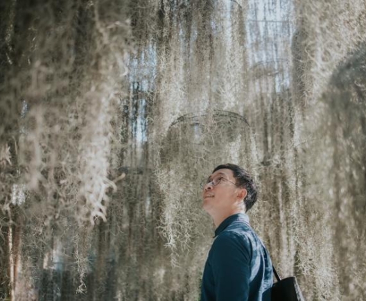 man looking at tree