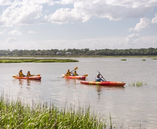 kayakers lined up in the water 