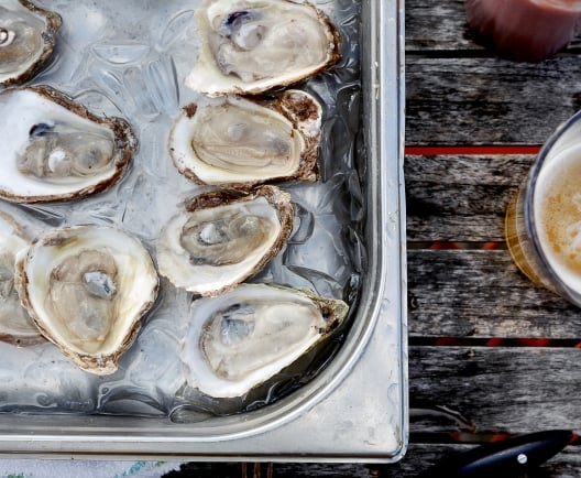 oysters