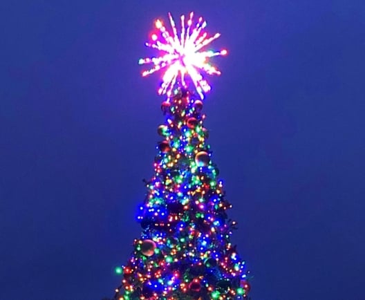 Holiday Lights and Tree at Shelter Cove Towne Centre