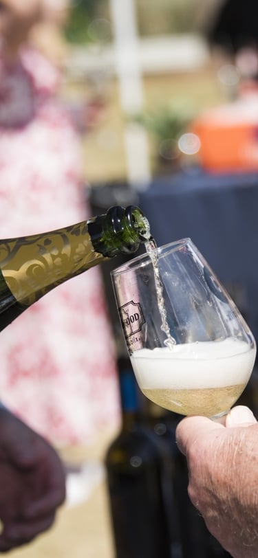 wine and food festival, person pouring wine 